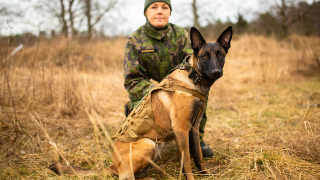 (åland 1 02)FRT-Övning-6